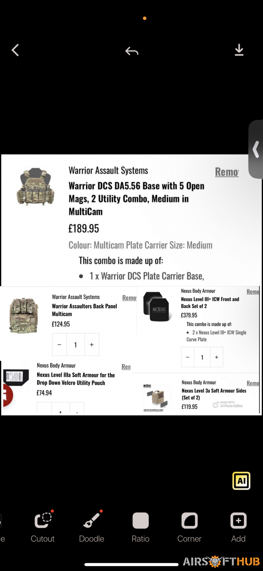 plate carrier + plates - Used airsoft equipment