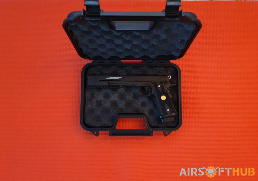 WE Hi Capa 7.0 Dragon Pistol - Used airsoft equipment