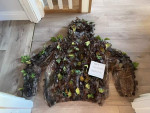 Ghillie top - Used airsoft equipment