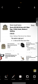 plate carrier + plates - Used airsoft equipment