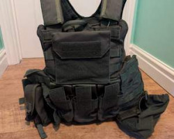 PANTAC Plate Carrier Small - Used airsoft equipment